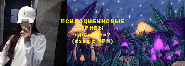стаф Сатка