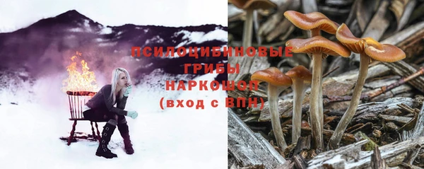 хмурый Семёнов